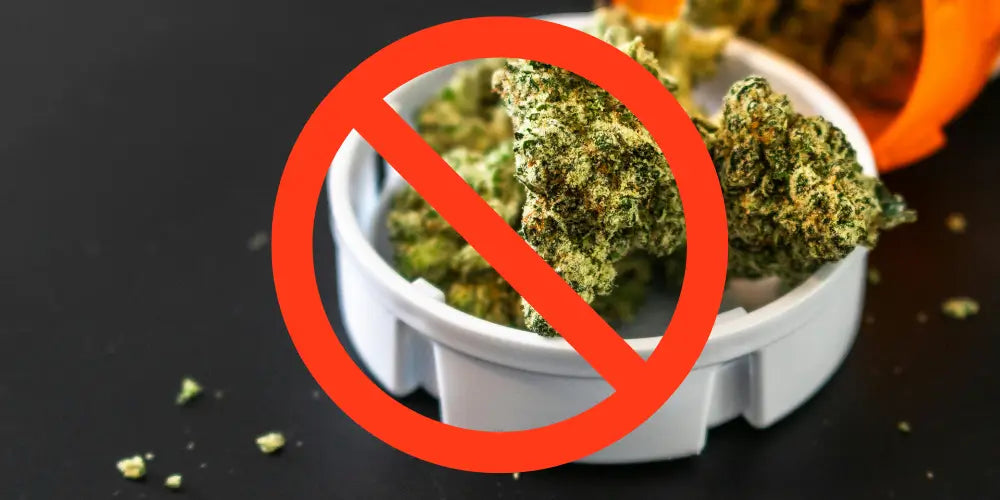 10-OH-HHC Verbot: Update – neue Bewertung am 22. November-cbdshop24.de