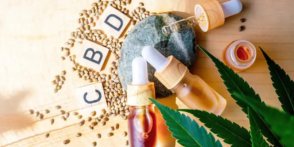 CBD et ses effets : Ce qui se passe vraiment dans le corps - cbdshop24.de