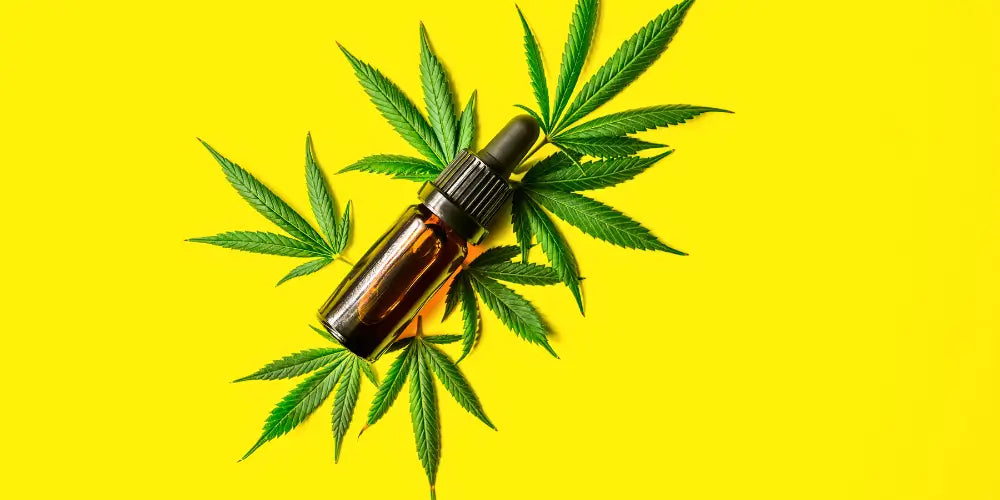 Легалізація CBD-cbdshop24.de