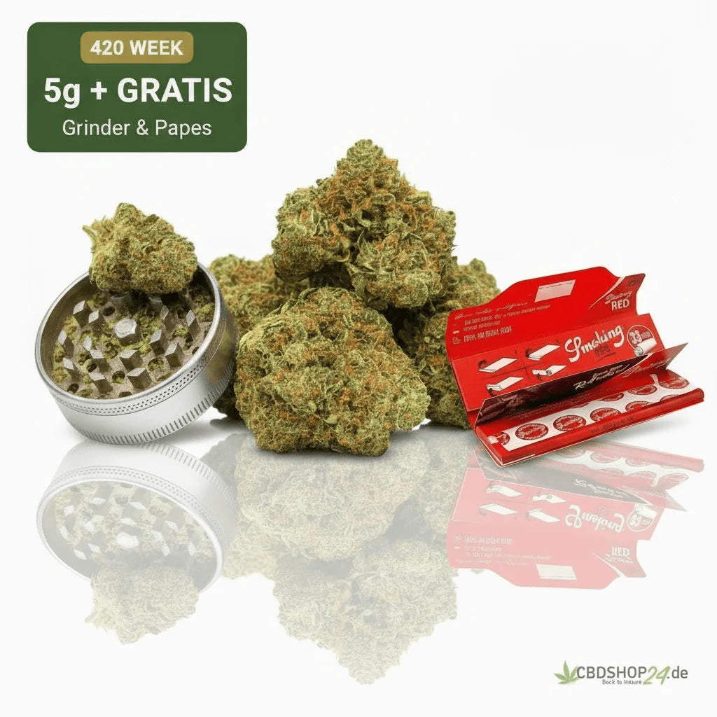 Fleurs CBD 5 g - Power Skunk + Grinder Offert + Feuilles Smoking RED King Size avec Filtres