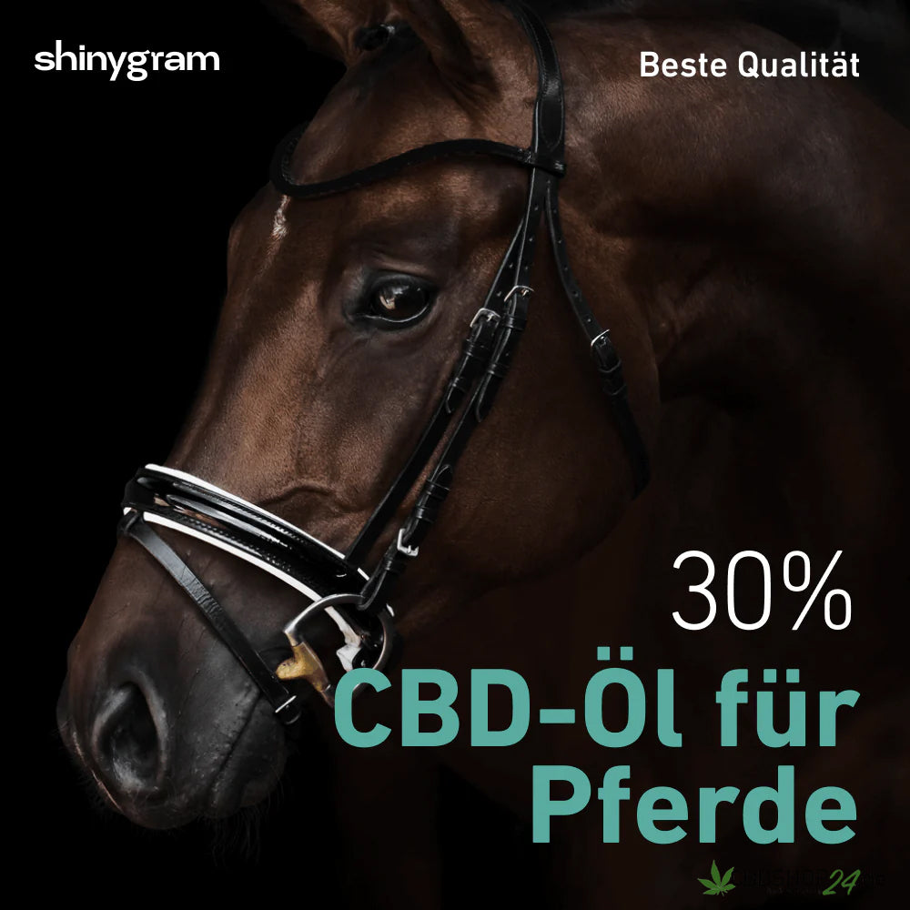 CBD Öl für Pferde 30%-cbdshop24.de