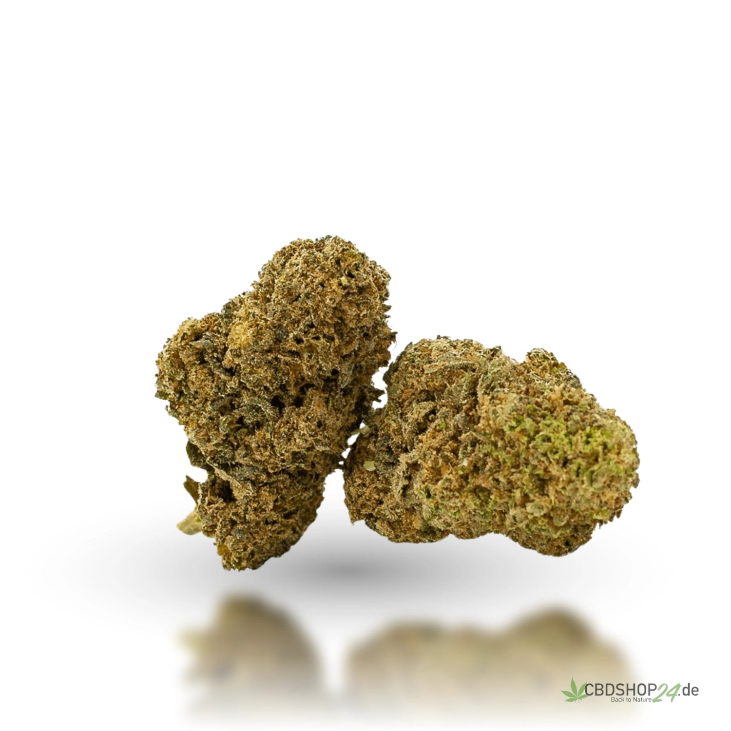 CBD Blüten 20% Critical Haze cbdshop24