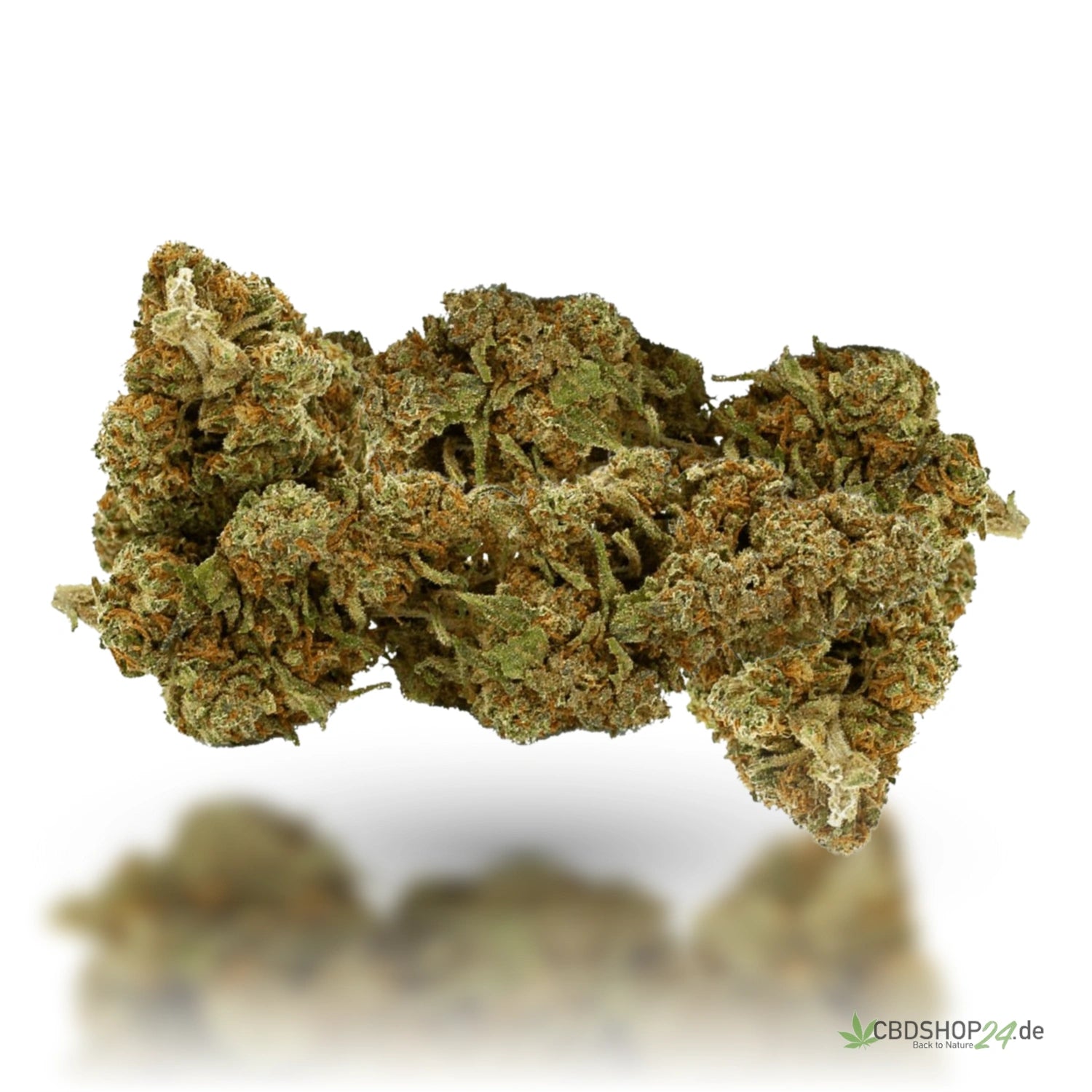 CBD Blüten 5% Mango Kush cbdshop24