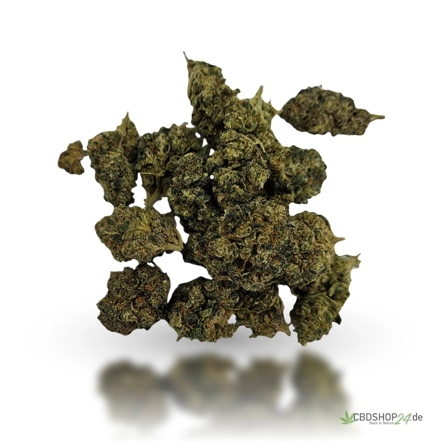 CBD Blüten Northern Lights #5 x Haze