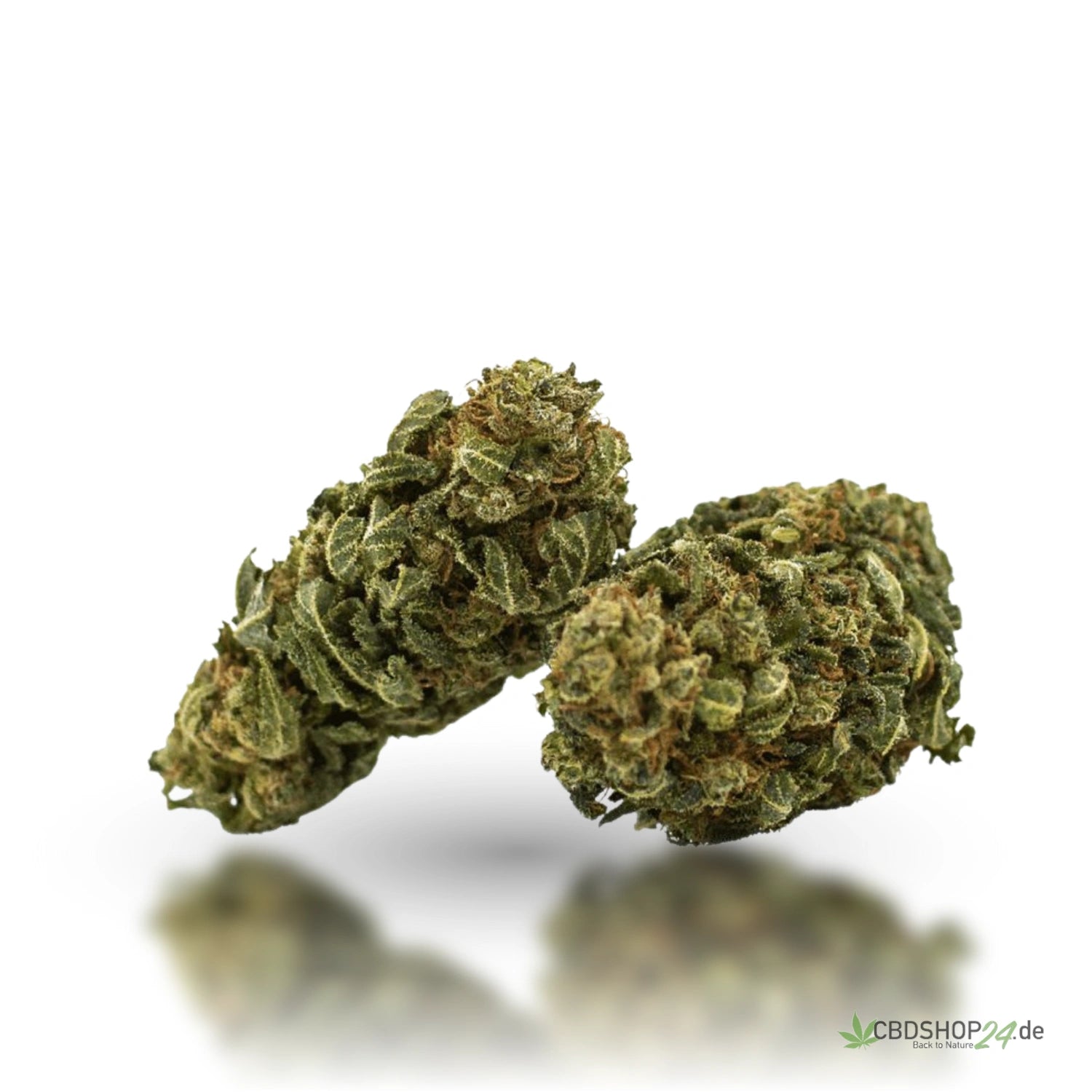 CBD Blüten 13% Skywalker OG cbdshop24