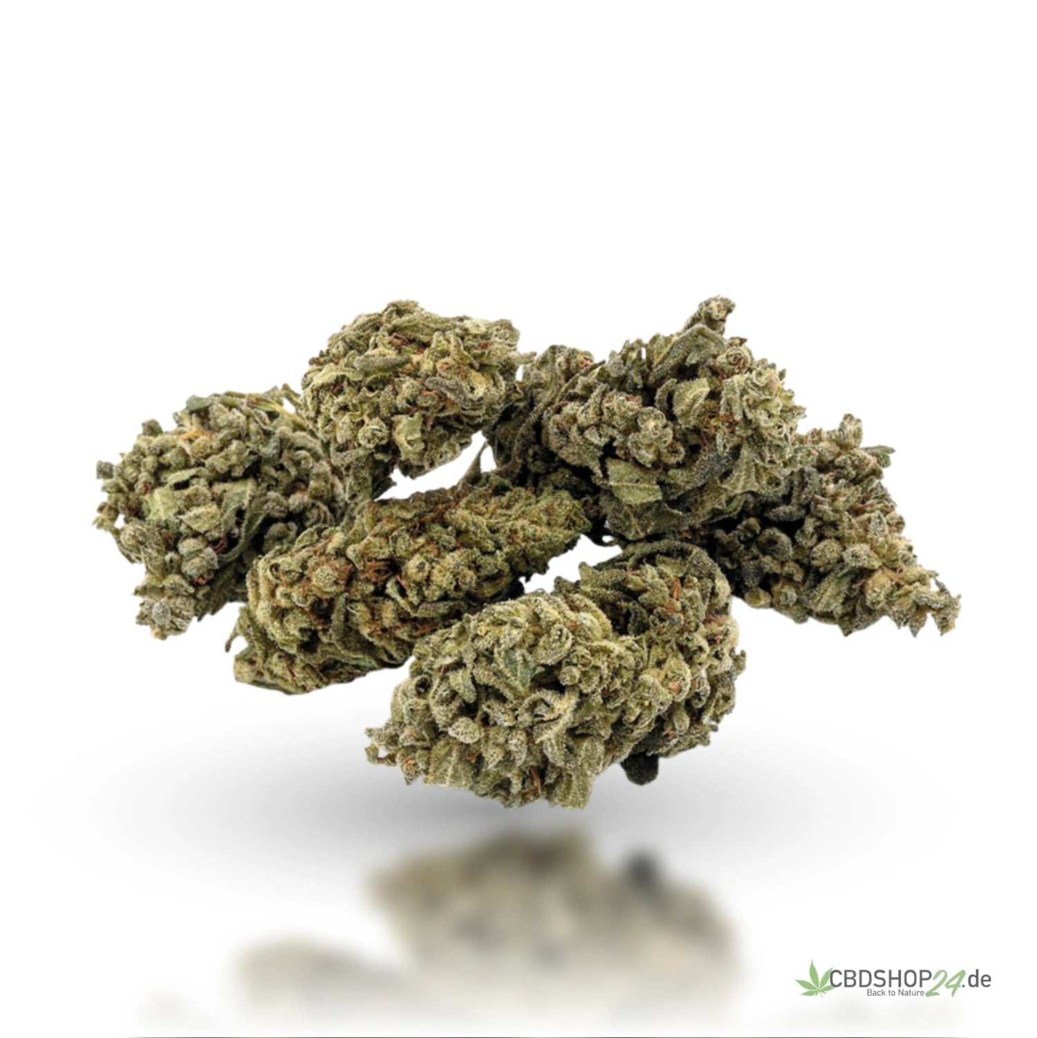 CBD Blüten - Blueberry Yum Yum - IlovePot cbdshop24