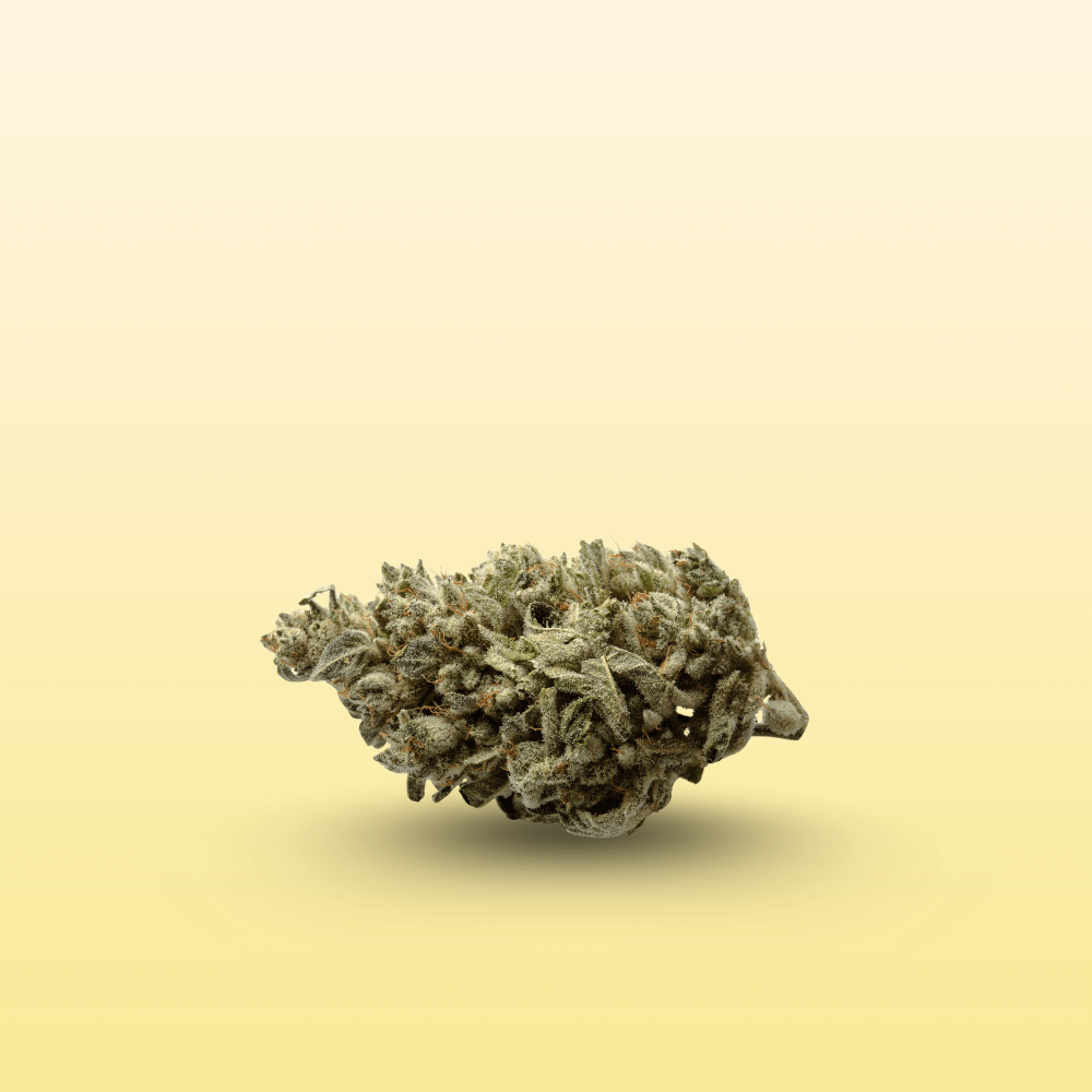 h2_blueten-cbdshop24.de