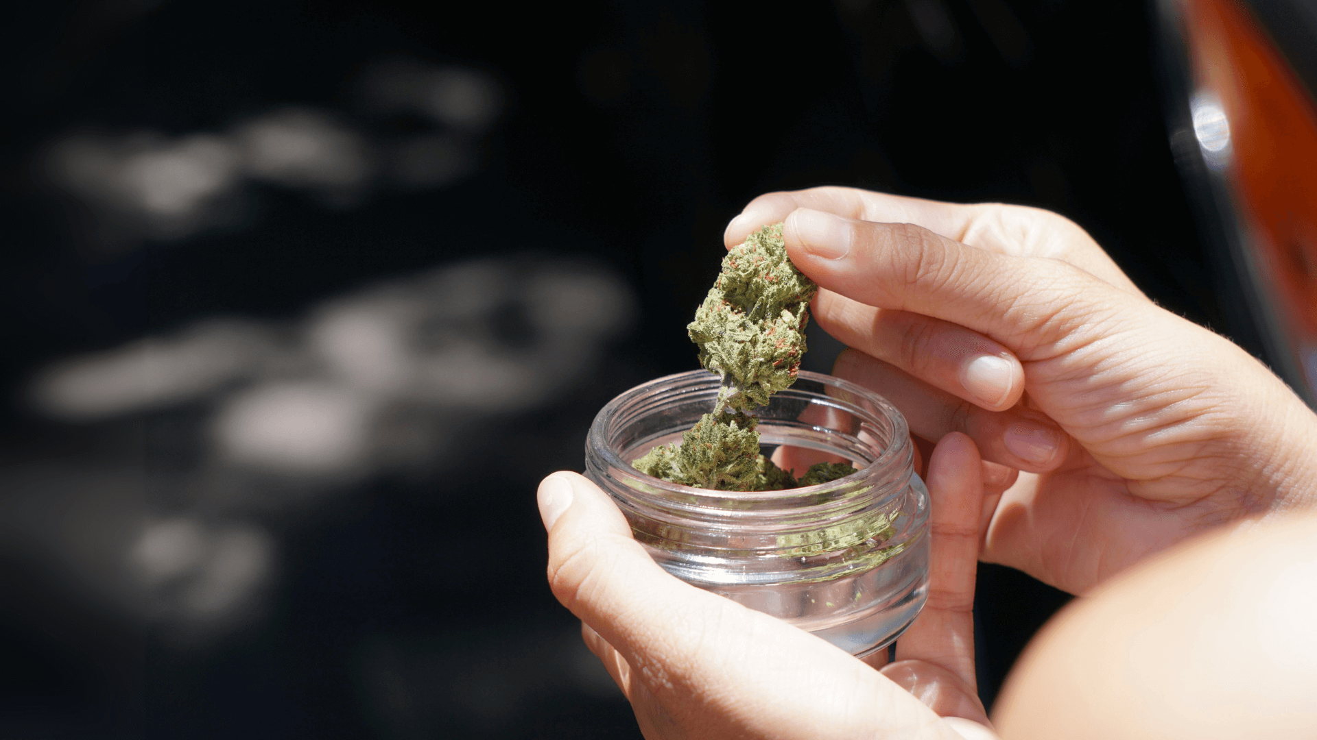 shop_titel_aug_cbd24_titelbild_1-cbdshop24.de