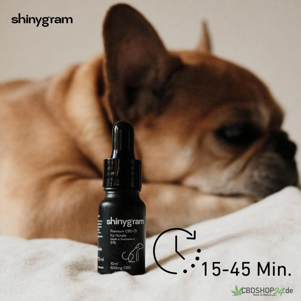 CBD Öl für Hunde 5%-cbdshop24.de