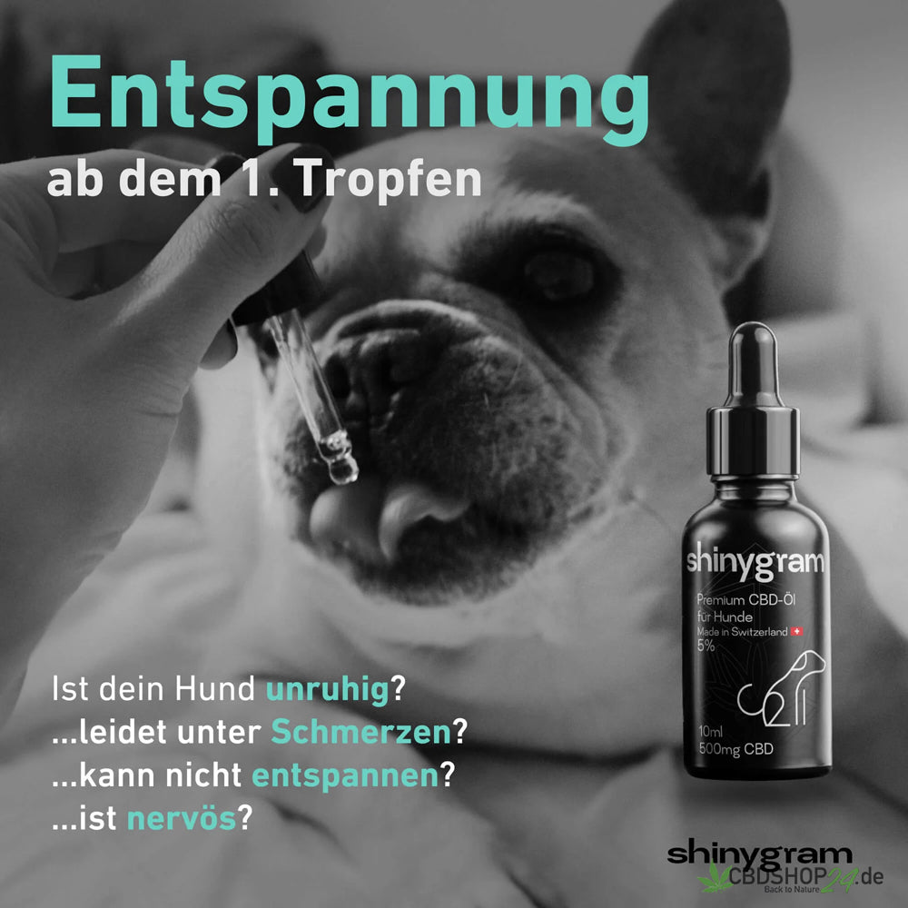CBD Öl für Hunde 5%-cbdshop24.de