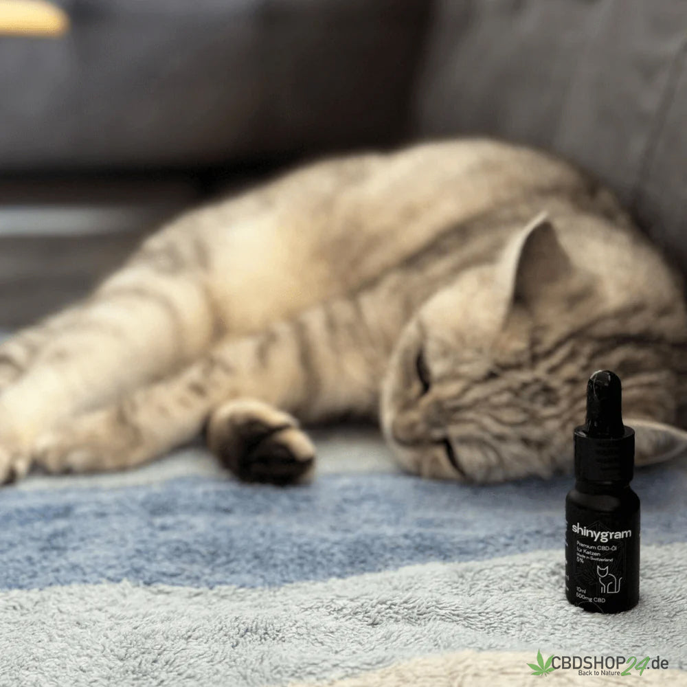 CBD Öl für Katzen 5%-cbdshop24.de