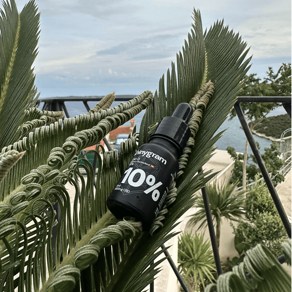 CBD Öl 10%