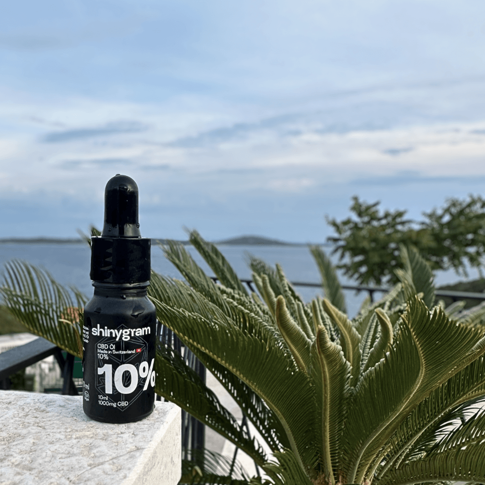 CBD Öl 10%