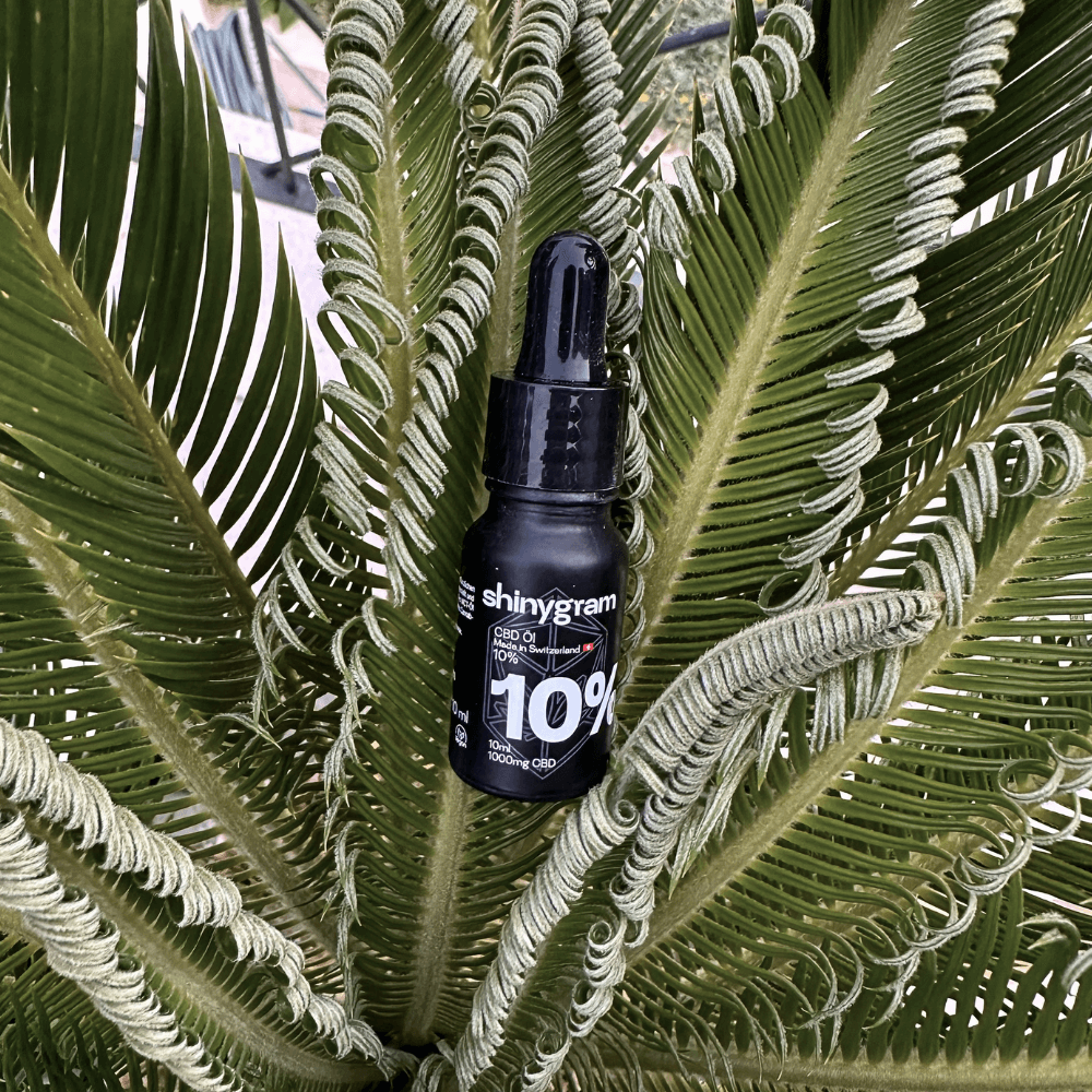 CBD Öl 10%
