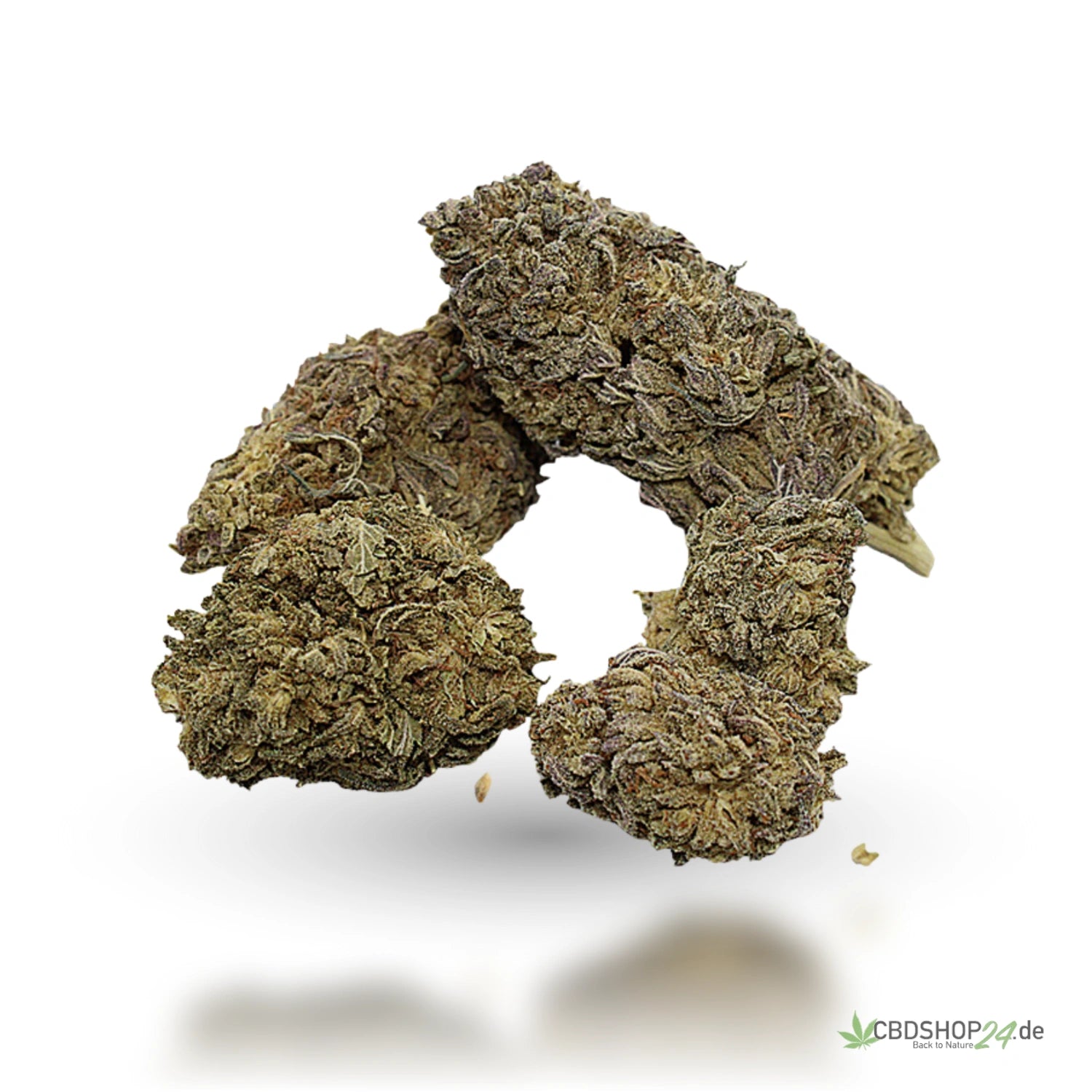 CBD Blüten Bubba Blueberry OG cbdshop24