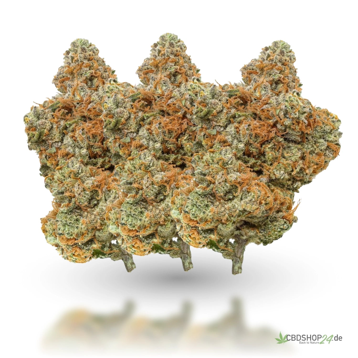 H2 Superior Blüte - Critical Mass