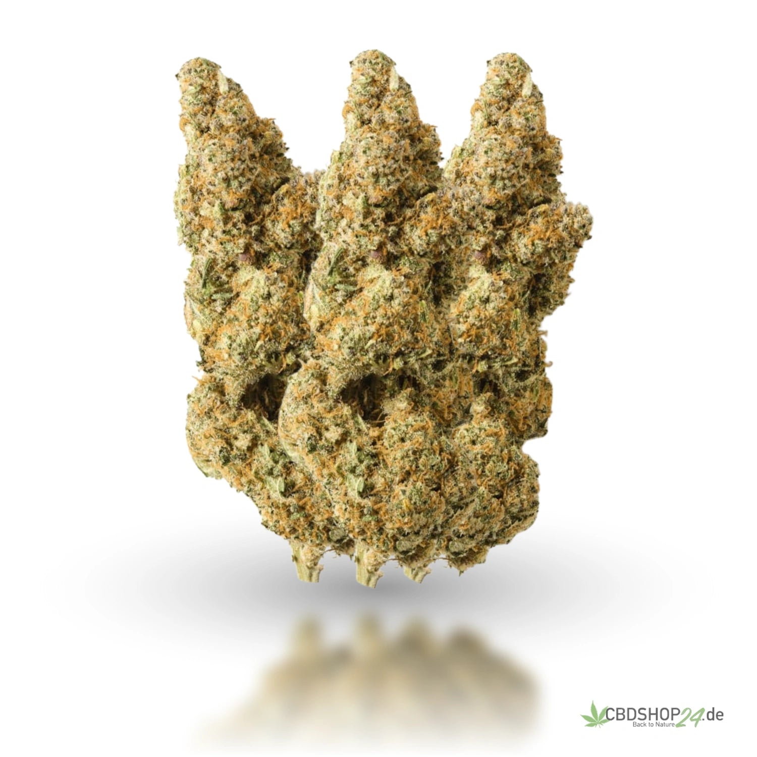 H2 Superior Blüte - King Louis