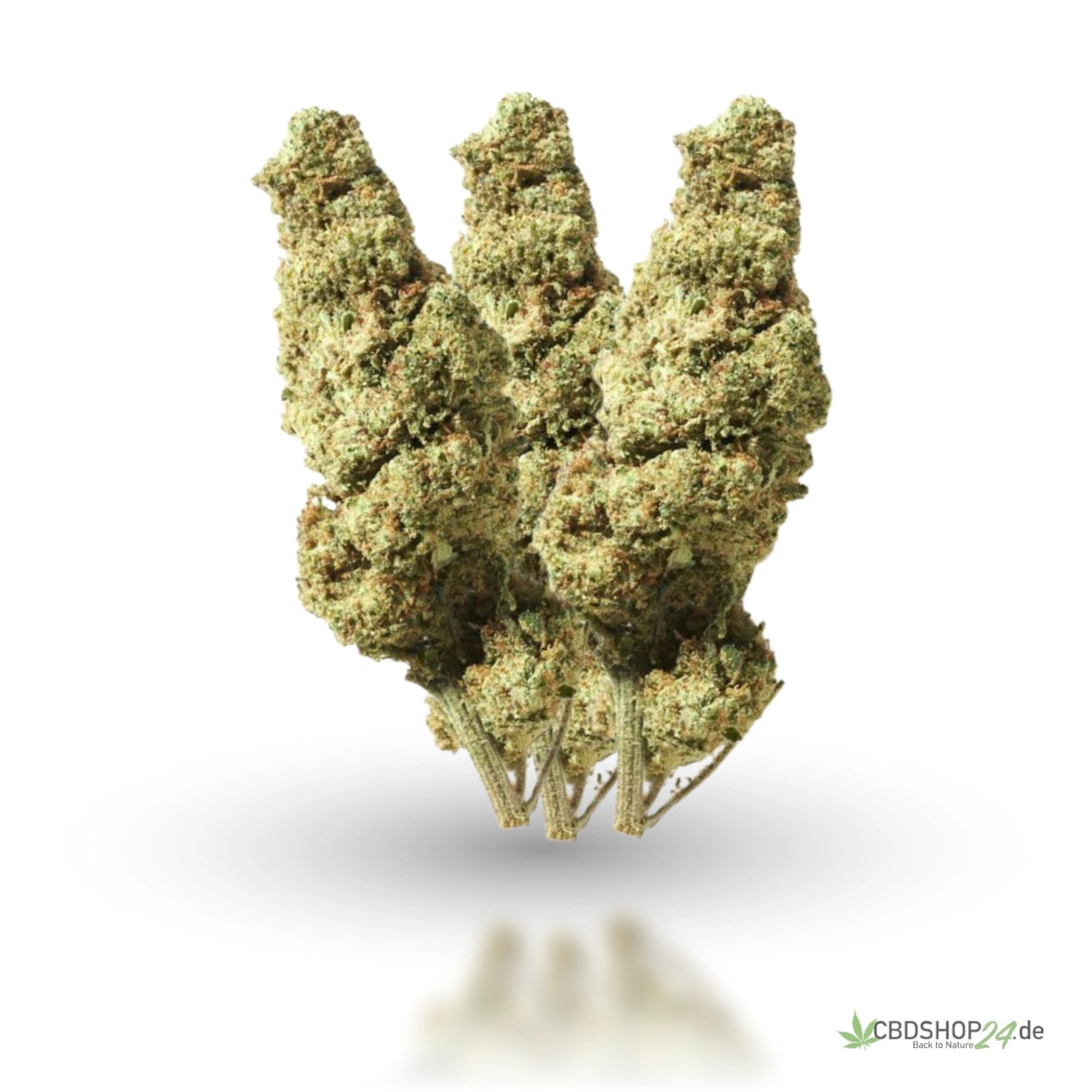 H2 Superior Blüte - Plutonium